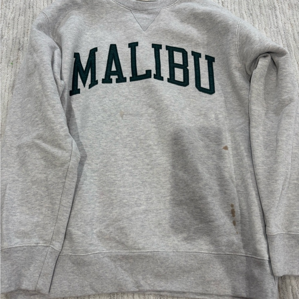 Brandy Melville Gray Crewneck Sweater with Green Malibu Print